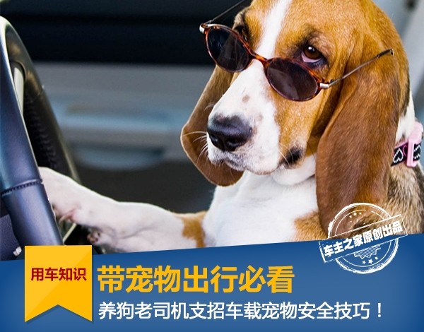 新年に家に帰るときに犬を連れて行くにはどうすればいいですか？