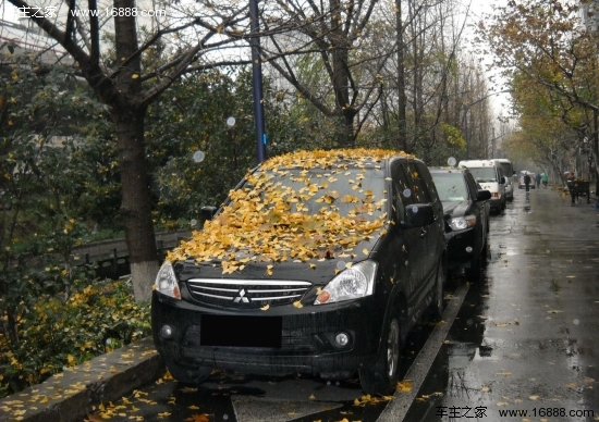冬季は、車両整備車両の落ち葉を適時に取り除くことに注意してください。