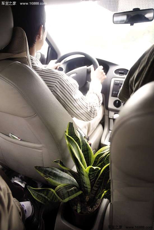 新車の臭いは健康に影響を与え、臭いを取り除く6つの方法をまとめた 新車の臭いは健康に影響を与え、臭いを取り除く6つの方法をまとめた
